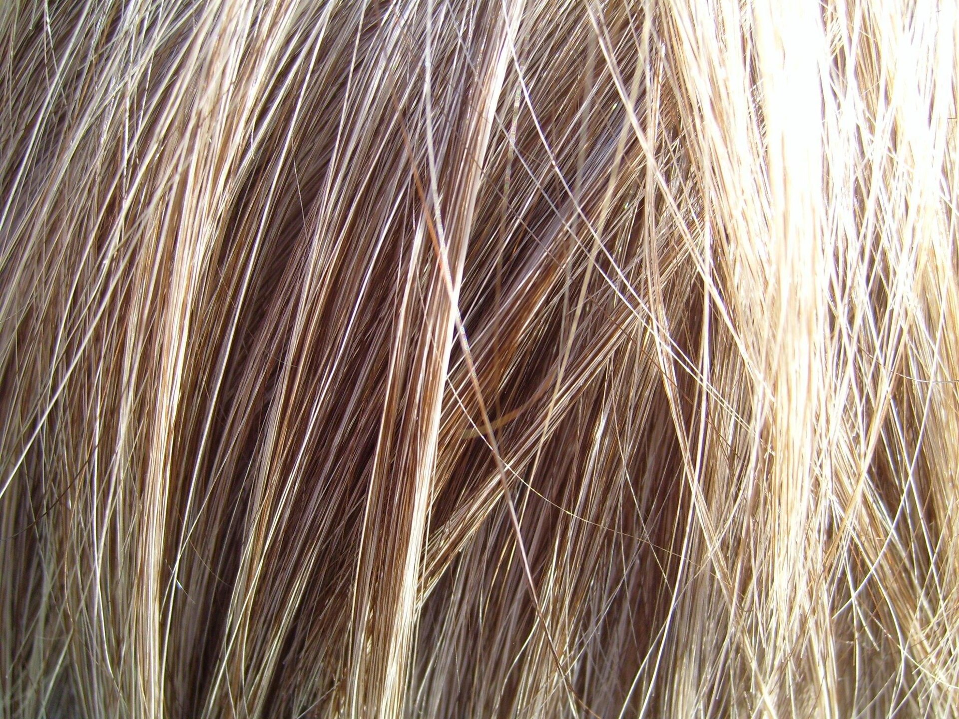 Detailed view of fine blonde hair strands
