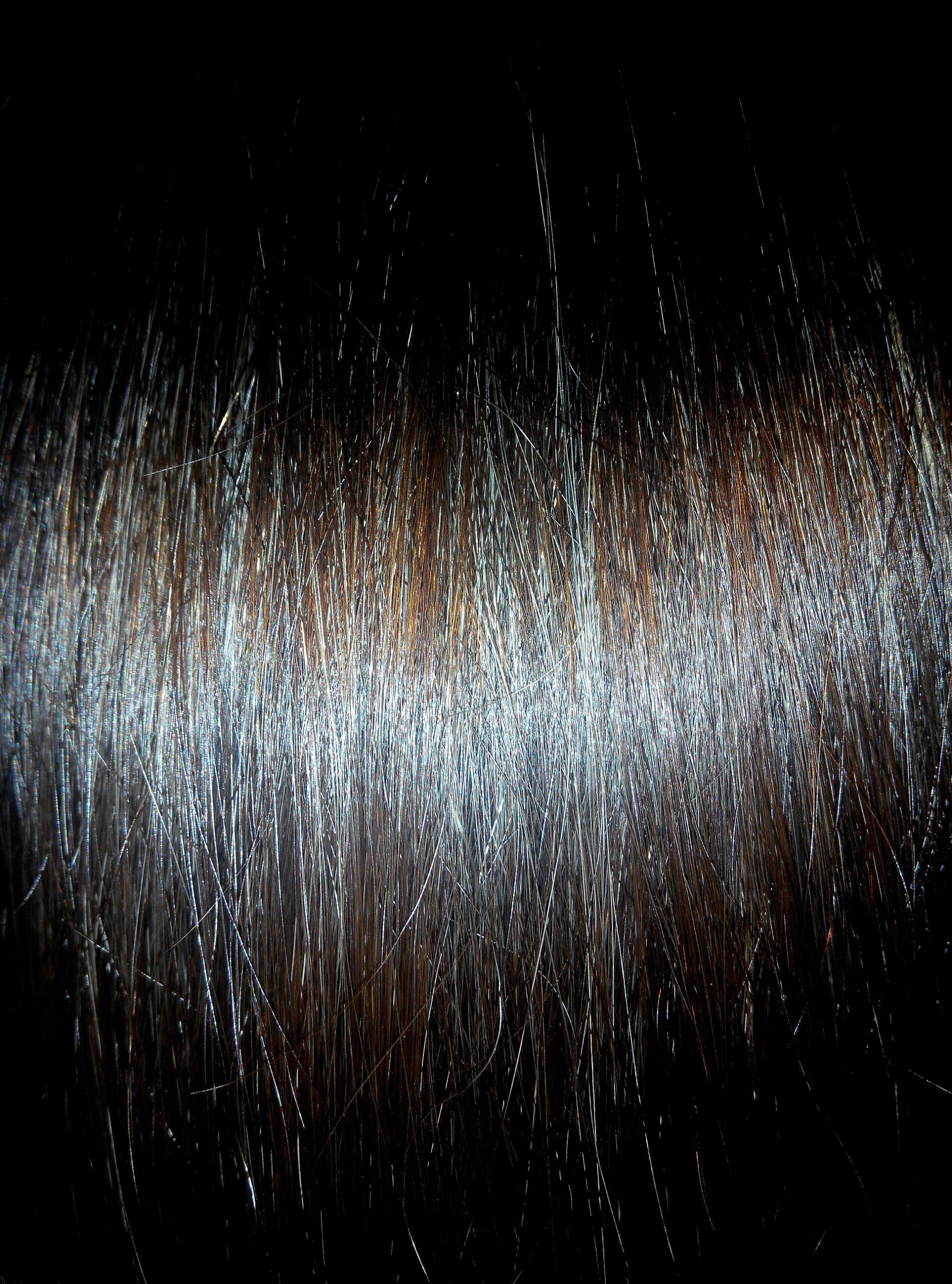 Macro close-up of straight brown human hair strands